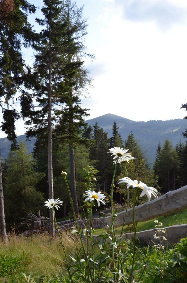 Ferienhaus Bergfee Klippitztorl ภายนอก รูปภาพ
